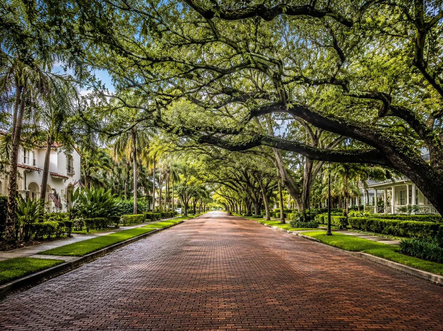 Brick street shaded by mature live oak trees in Old Northeast St. Petersburg, Florida