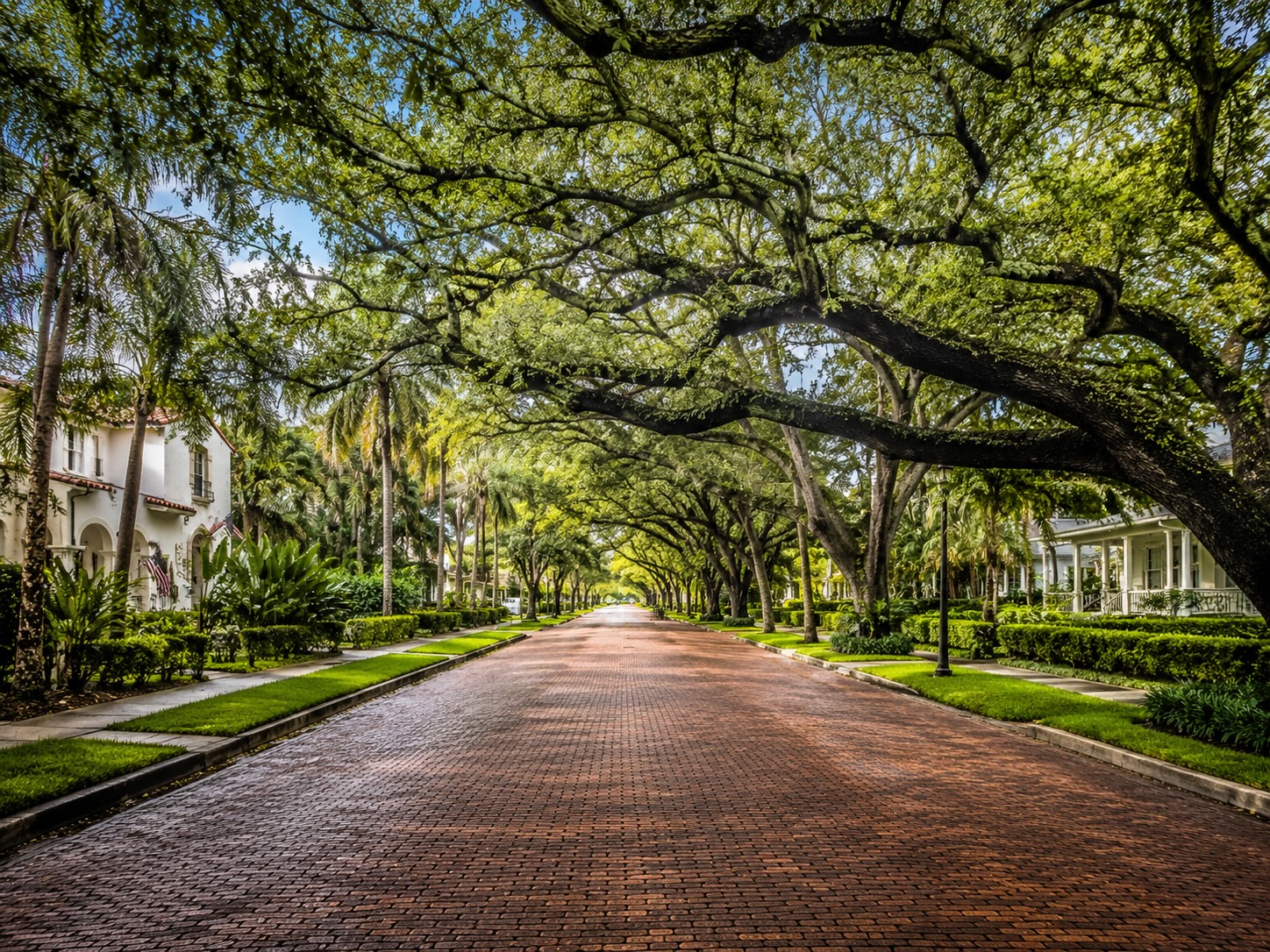 Brick street shaded by mature live oak trees in Old Northeast St. Petersburg, Florida